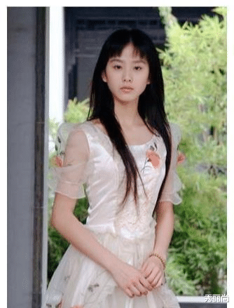 刘诗诗|刘诗诗婚变背后:女方太佛系,男方被全家压榨,生活一地鸡毛