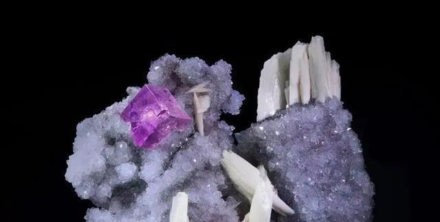 六种生命形态,碳基生命仅排第三,排名第一的硅基生命有多可怕