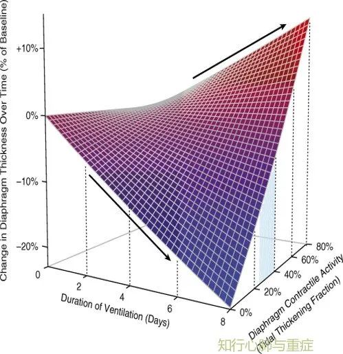 脑梗|重症患者的膈肌功能障碍，9张图全面了解！
