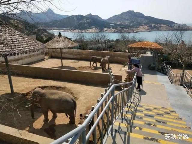 海驴岛|荣城必去的三个景点，到这与山海、动物亲密接触，来次快乐游吧