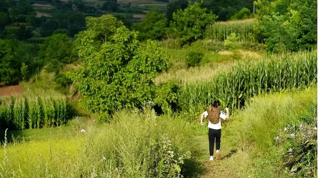 我们需要看到真实的世界|给所有的阳光家人