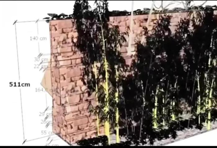 胡鑫宇|还在相信胡鑫宇被摘器官的谣言?现实情况与你想的不一样!