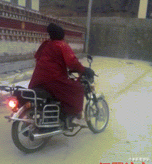 acgn漫评|“让一个动漫角色住在你家,你会选择谁?”网友的回复很真实!哈哈哈