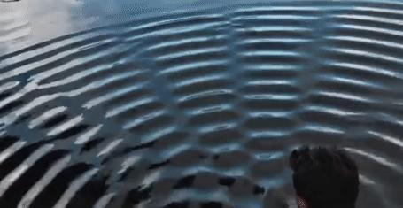 如何测量月地的距离?或许你需要一把“激光测距”尺