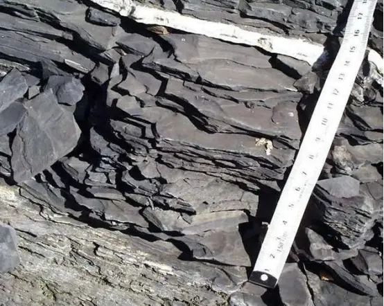 页岩气是种清洁能源，气体是如何进到岩层中的？需从5亿年前说起