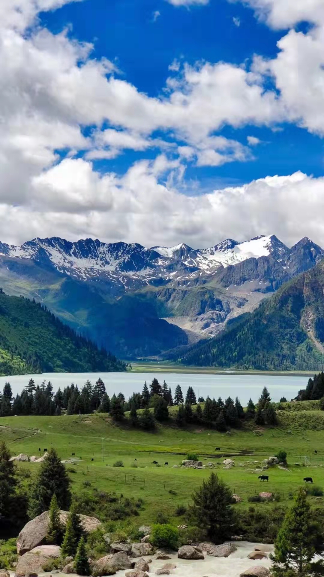 |路在人走，事在人为