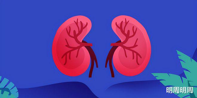 国行|10年了,卖肾买苹果手机的王阳,如今靠透析苟活,谁之过?