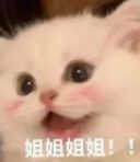 浪姐3|《浪姐3》首播被赞绝世舞姬！网友：何德何能啊，居然能请到她！