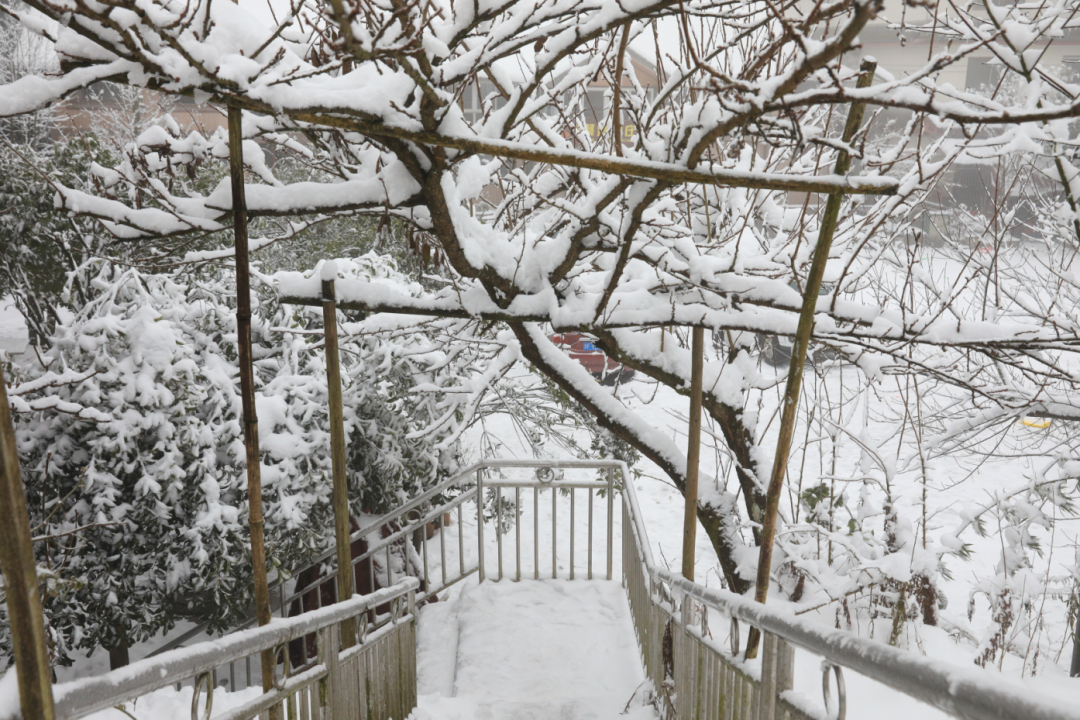 成都|节后第一天，带你“云赏雪”，元气满满开工啦