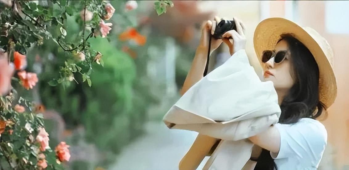 央视|《去有风的地方》感受草木温柔了时光治愈力!