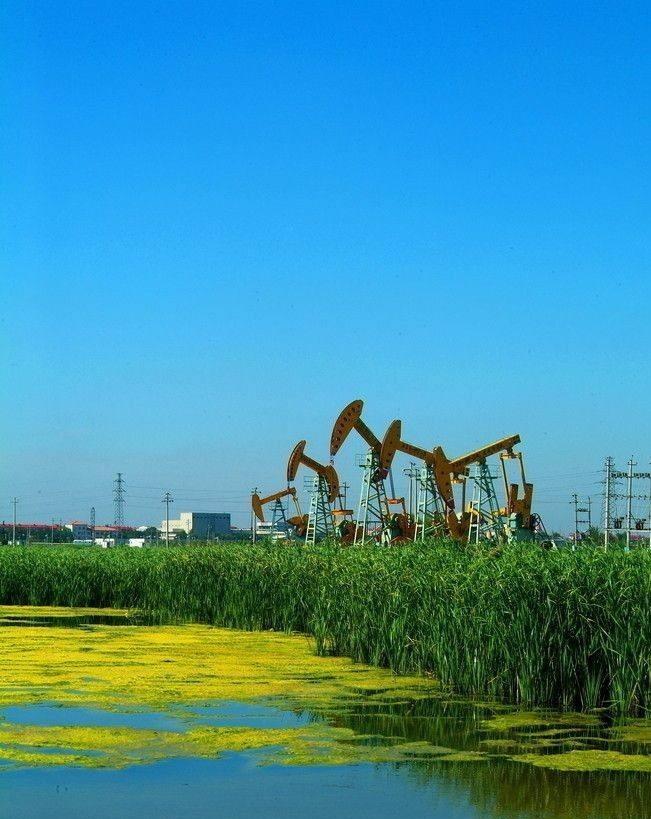 日照金山|国内名字带“大”的四座城市，大连、大理、大庆还有一个少有人知