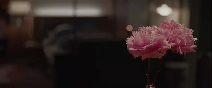 孙艺珍|《三十九》：“信看”孙艺珍×“机智”田美都，友情背后真正的主题是？