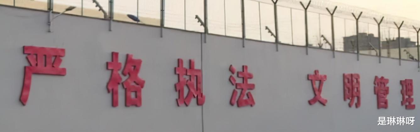 2017年河南一公司全是美女,全开奔驰宝马,警察一查真相大为心惊