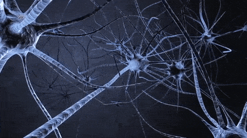 科学界发布惊人理论:宇宙或许是一个巨大的神经网络,真是活的?