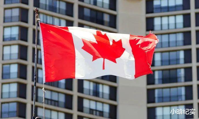 |加拿大2名华裔女闪婚后闹掰!为争房产反目成仇!都说自己被家暴