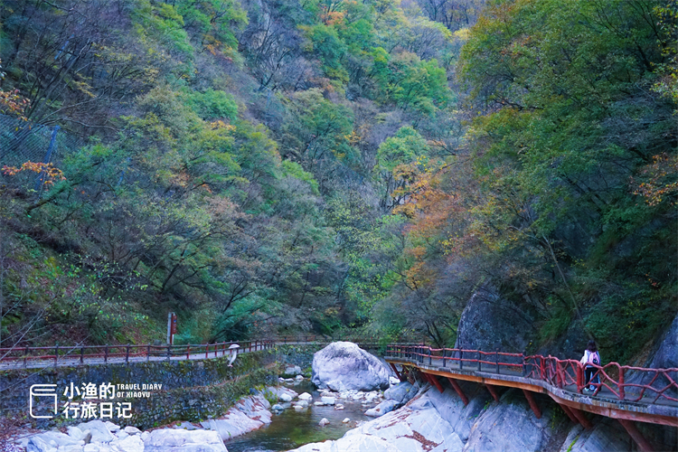 秦岭|它是西安秦岭最美的峪口之一，把山水玩到极致！深秋最后的斑斓季