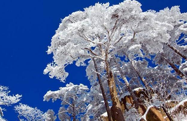 安徽|安徽黄山被称为天下第一奇山，被古人称赞的黄山到底有怎样的魅力