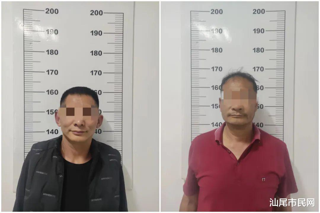 海丰公安破获多起偷狗案,偷狗男子+狗肉档主双双落网