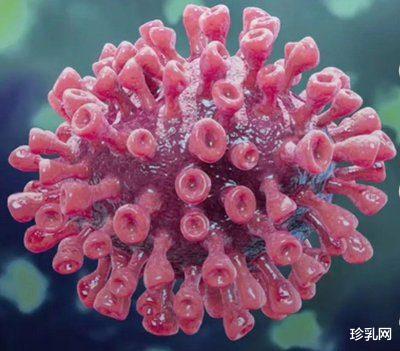 冰箱需要清理,新冠病毒可以在冷冻肉类上存活一个月!