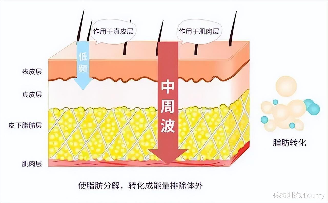 运动 韩国41岁网红女警察，网友：看完之后好像想被抓