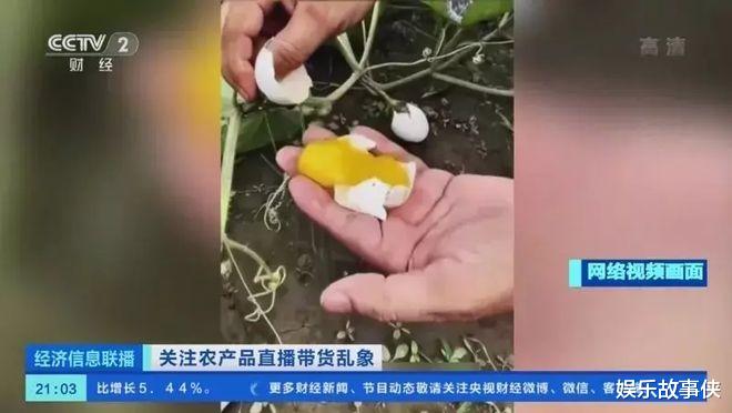 带货|今年直播电商有多离谱？300万粉只带货600元、没10万人不说话、鸡蛋长树上？