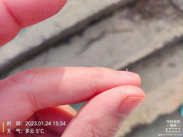 |痛并快乐!过瘾也留下遗憾美