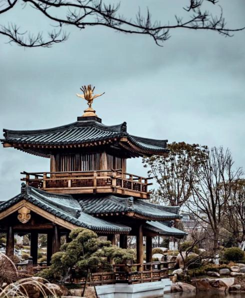 上海市|上海这座寺庙“火了”，只因传统木构营造太美，游客纷纷来打卡