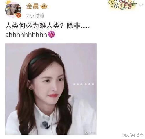 |无知且傲慢？金晨玩头巾梗被网友嘲翻，本人回应堪称火上浇油