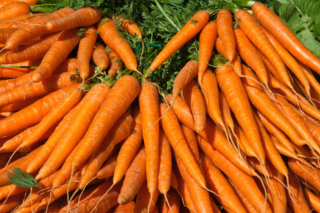 牛皮癣|哪些蔬菜有益于牛皮癣的康复