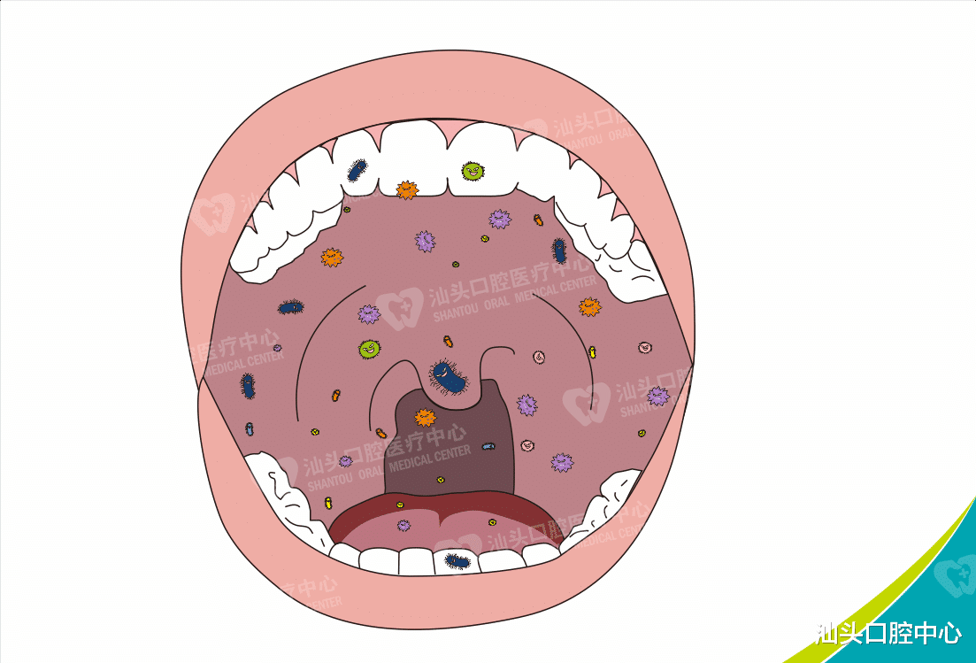 皮炎|牙齿不疼也没蛀牙，就不需要检查了？