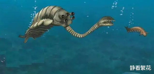 这5种曾经存在过的远古生物,公认长相最奇葩,对上你的胃口了吗