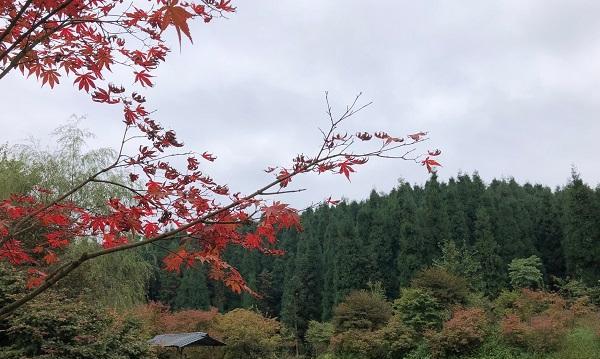 海口|五彩缤纷的四川“小城”，位置得天独厚，元旦去看看正合适