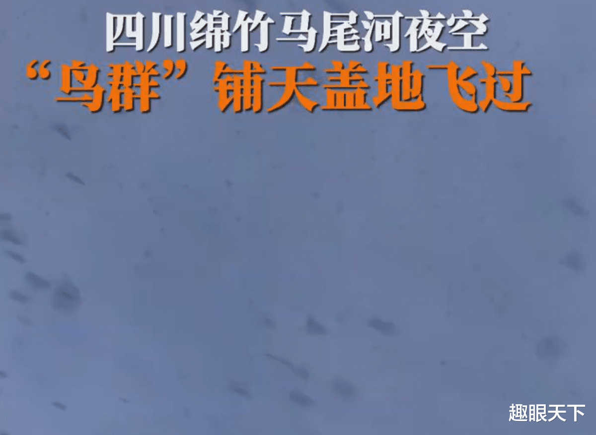 绵竹上空又现“密集鸟群”，曾多次出现，真的是地震前兆吗？