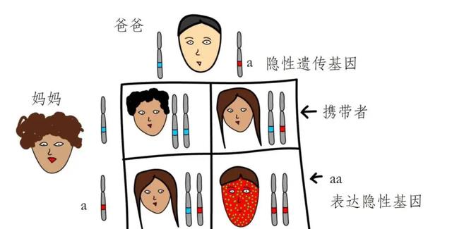 为何人类不可以实现永生?科学家:人类只是在给基因打工