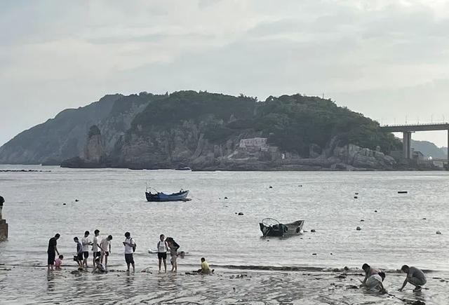 乡村旅游|来洞头，共赴一场山海之约，感受独特海洋风情！
