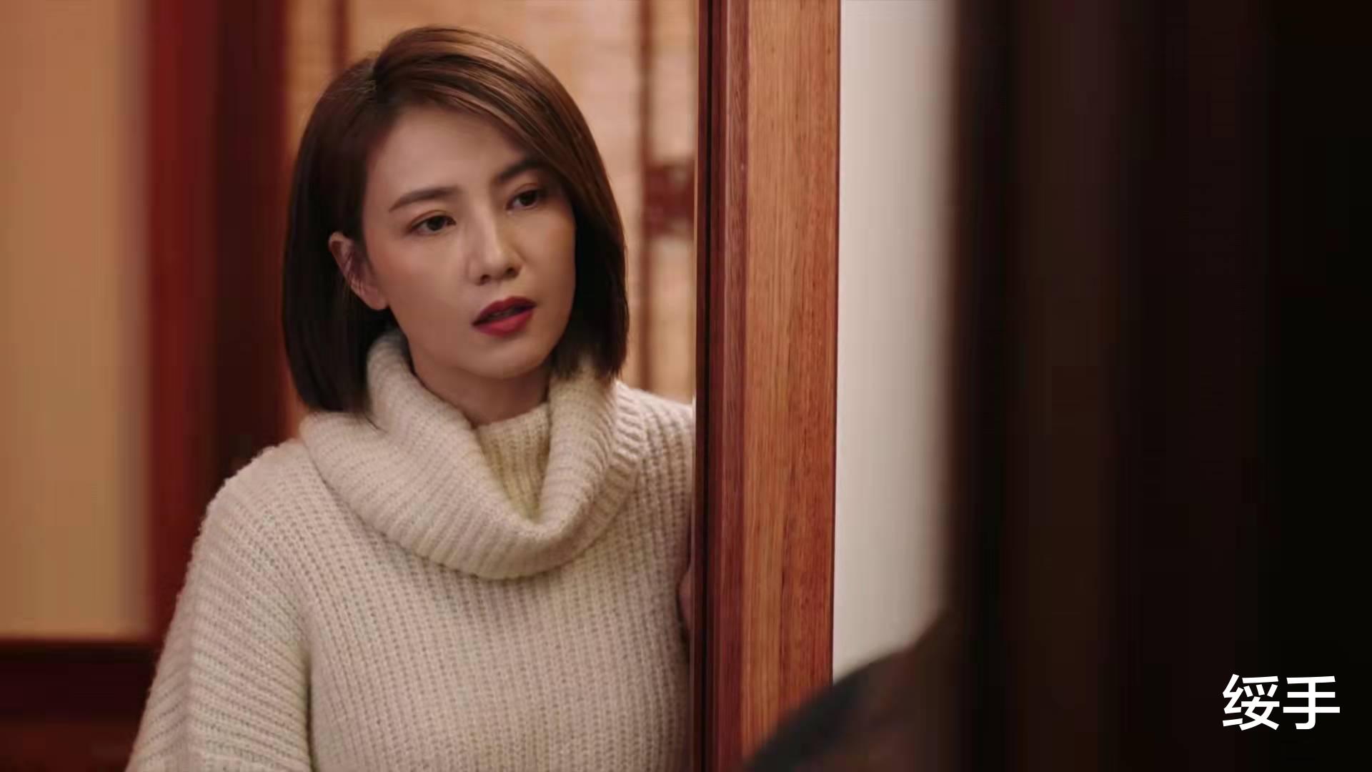 林庆昆|完美伴侣：职场精英PK家庭主妇，合作式婚姻，注定散场，遗憾！