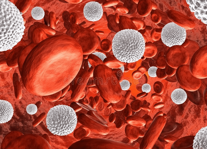 消化不良|防治尿毒症离不开2类药,是护肾小帮手,大多数肾病都要用