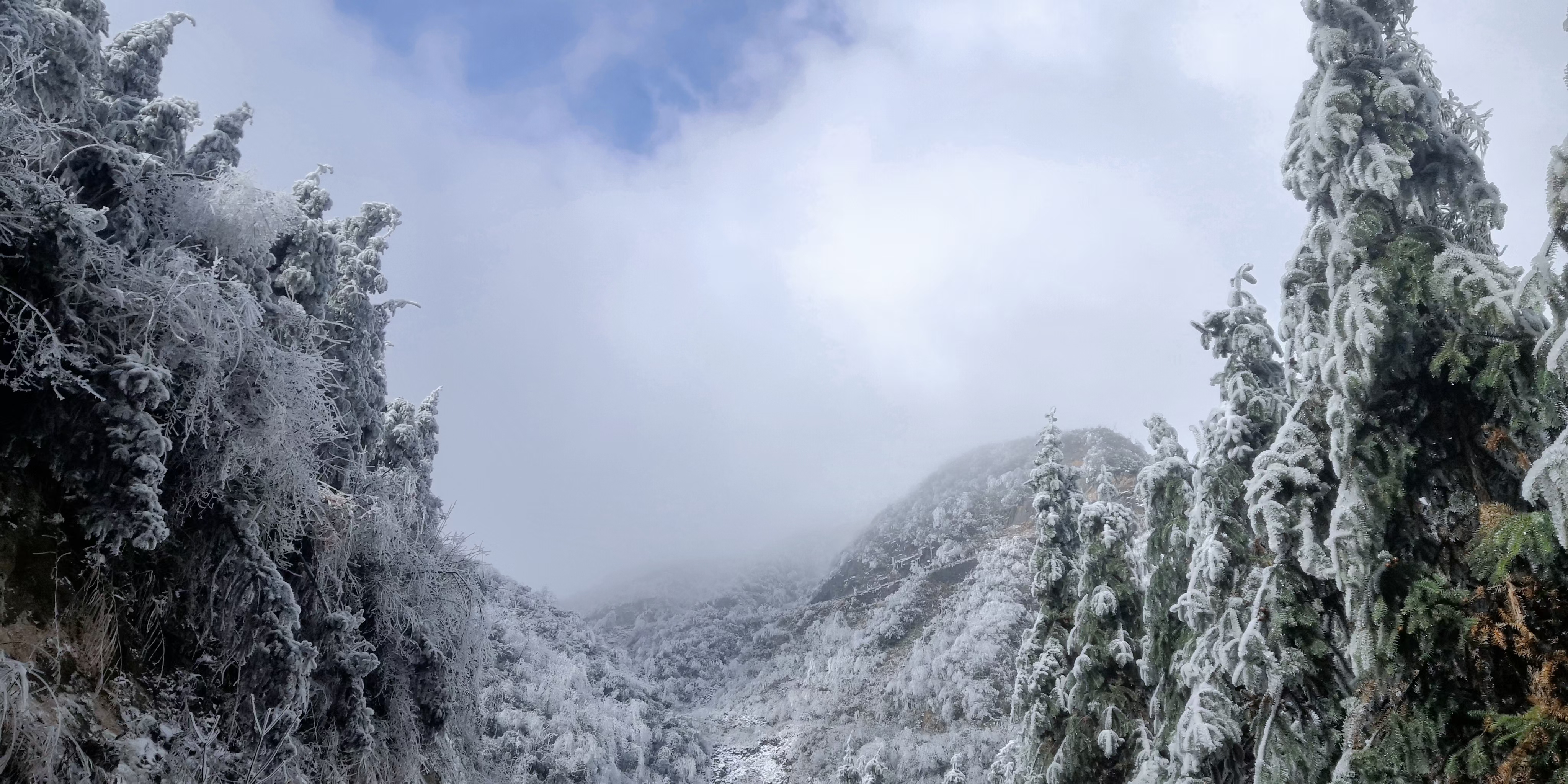 地下城与勇士|职场中请不要随意说上司傻