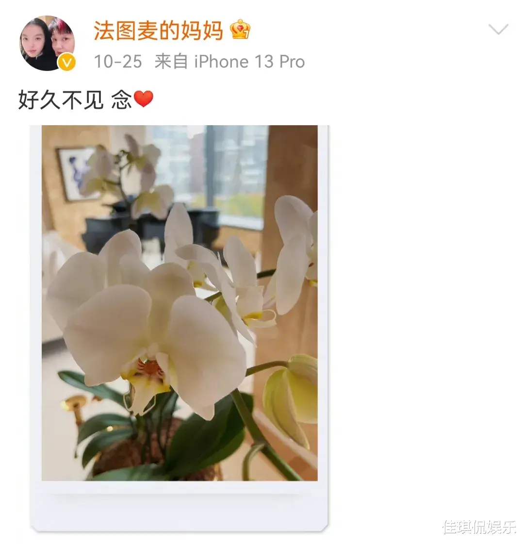 哈文|李咏妻子哈文：在国外逐渐开始分享自己的日常生活日常，预示已走出阴影？