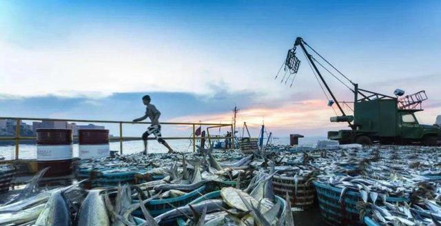 黄河危机：外来鱼肆虐，与土著鱼“杂交”，乱成了浆糊