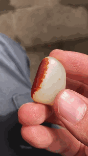 大红袍|你认识和田玉中的\大红袍\吗——枣红皮