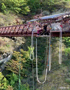 |“钓鱼被咬了一口，谁知道这是什么咬的？”评论区却炸锅了！