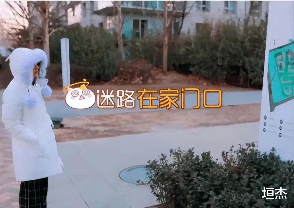 吴昕|装傻十几年的吴昕才是真正的大佬，别在拿豆包不当干粮了