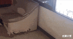 |“钓鱼的时候飞到我手上的，第一次见，有知道这是什么的吗？”