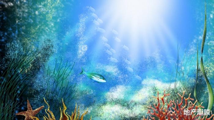 洋盆与高盆:谈谈地产顶层设计、中层管理、底层逻辑与潜层规律