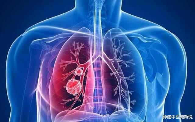 墨旱莲|长在溪边的抗癌中药，墨旱莲，滋补肝肾，抑菌抗癌功效多