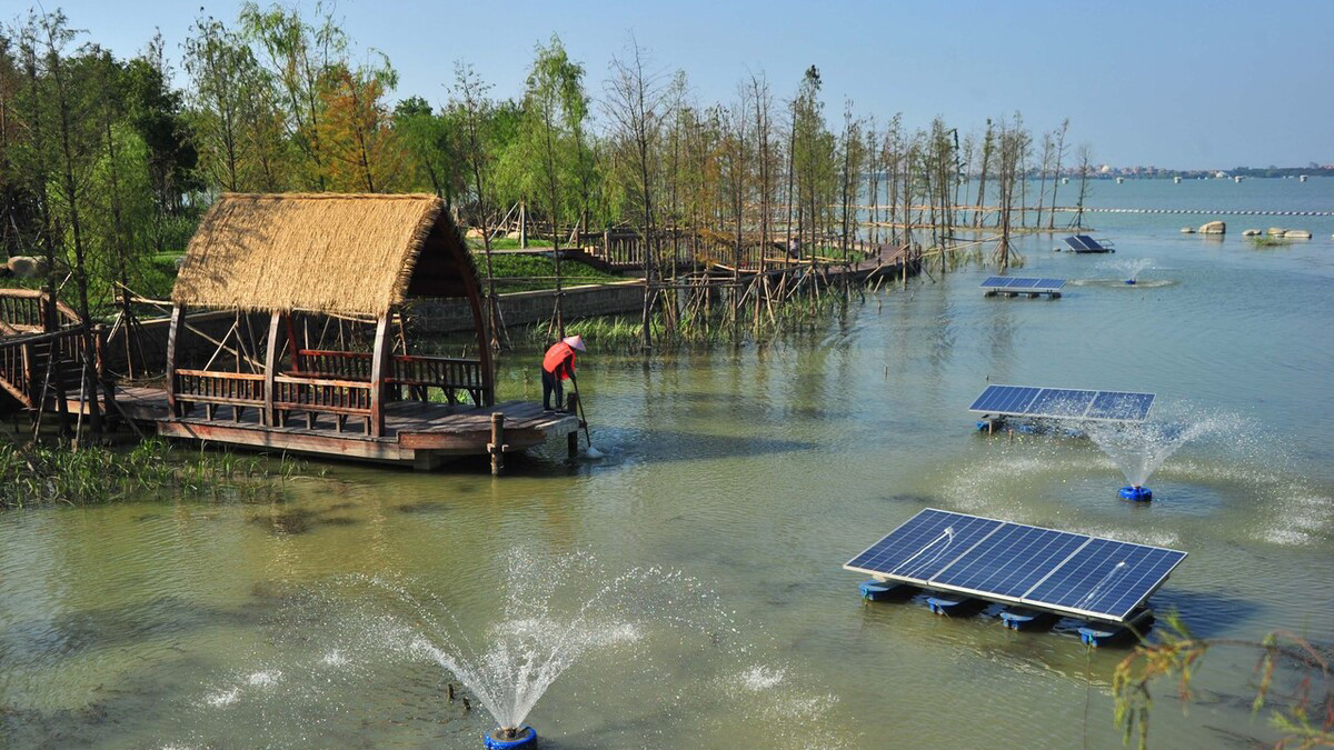 东洛岛|上海与苏州的界湖，曾因“三不管”沦为死水潭，如今成网红打卡地