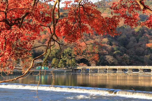 京都|欣赏枫叶的好地方，秋季的京都怎么能错过呢？