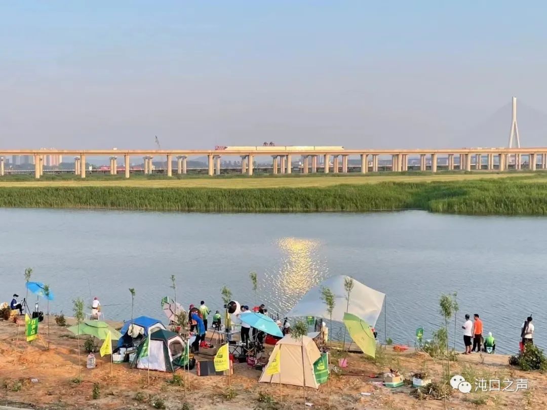 沌口|沌口东荆河周末人山人海！都是去抽鲢鳙的