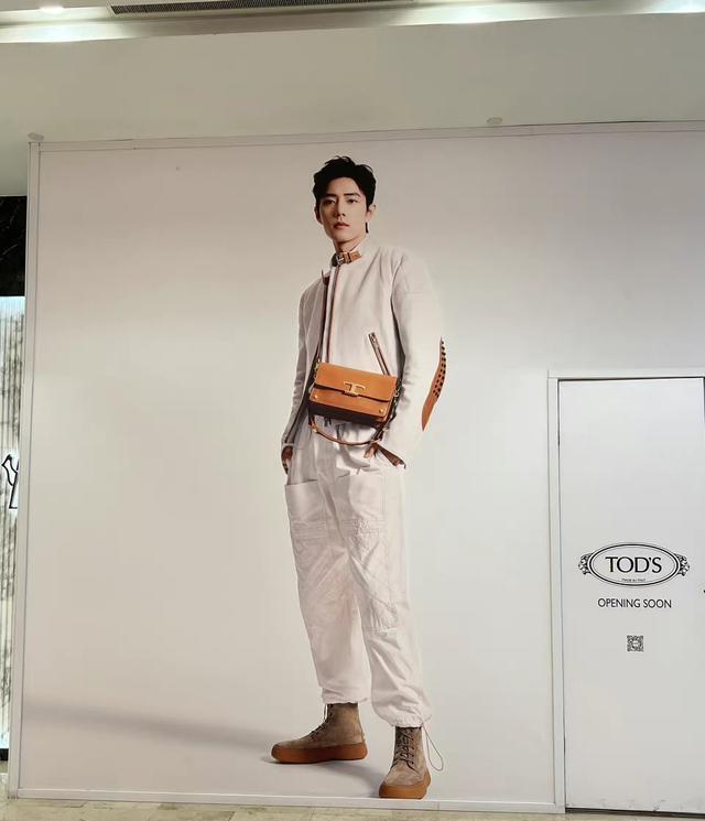 鹿晗|肖战代言TODS新店开业大吉,滴露销量一路飙升!
